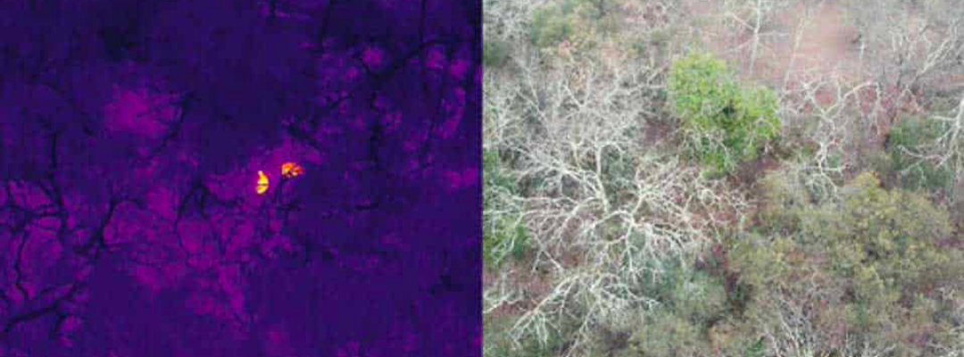 WhatsApp Image 2026-02-19 at 15.14