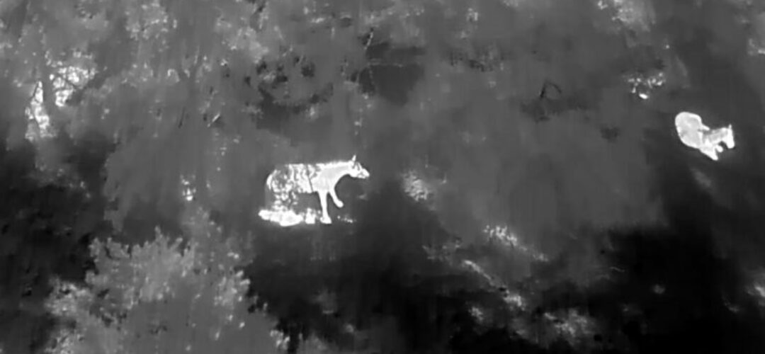 WhatsApp Image 2026-02-19 at 15.14.35 (1)