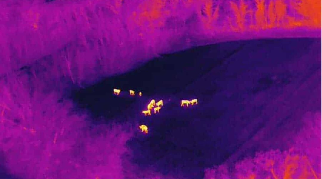 WhatsApp Image 2026-02-19 at 15.14.36