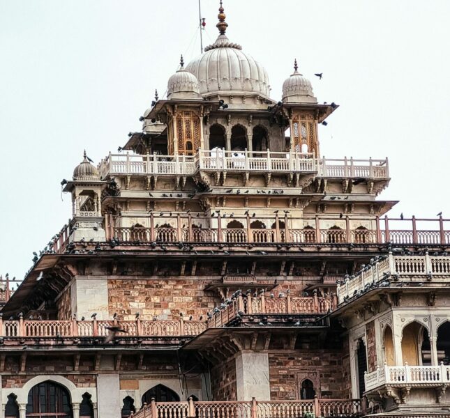 pexels-jaipurkachokra-13959591